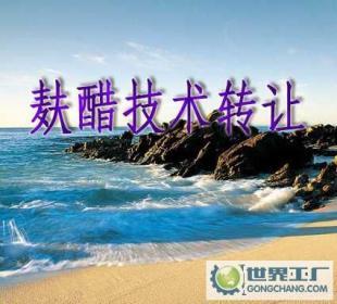 麩醋配方轉(zhuǎn)讓與生產(chǎn)技術(shù)轉(zhuǎn)讓，工廠交匙工程及認(rèn)證咨詢服務(wù)