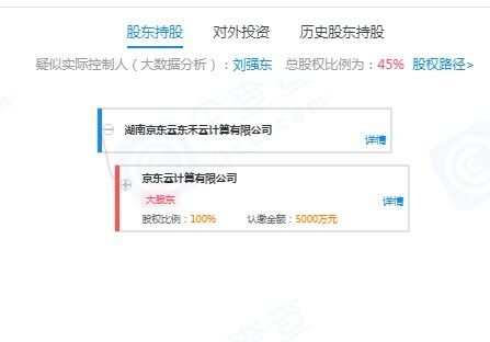 劉強東的再出發 退出云計算公司，押注無人機與室內裝修新賽道